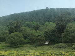 -云龙山