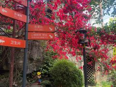 -巴倒烫陆派火锅山庄(南山总店)