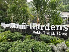 -新加坡植物园