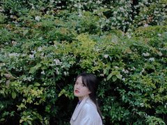 -府河摄影公园