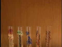 -左悦·艾灸调理·推拿按摩·精油SPA(卓悦汇店)