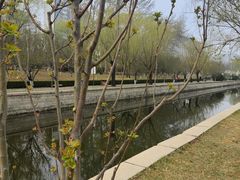 -元大都城垣遗址公园