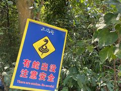 -南海湾森林生态园