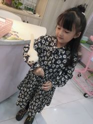 -Moni星球萌宠·小马宝莉·灵蛇·高端高阶全萌宠互动体验俱乐部(红豆国际广场店)