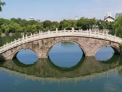 -月湖公园