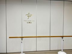-红舞鞋舞蹈教育(近江校区)