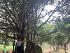 -红色娘子军纪念园