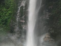 -莫里热带雨林景区