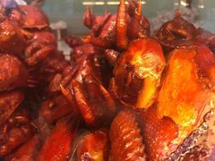 -顺城金记卤鸡·清真