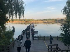 -溱湖国家湿地公园