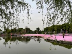 -上海杨姆庄园