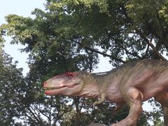 -自贡恐龙博物馆