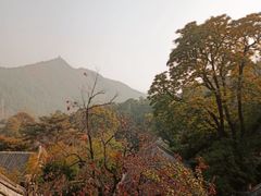 -潭柘寺景区