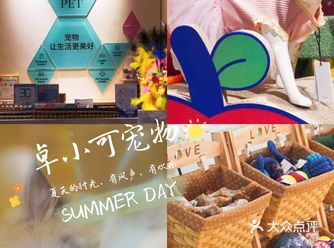  喜欢宠物，但是还没有的宝宝们，一定要来这里看一看☞