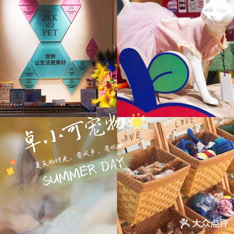 铲屎官快来报道❗❗