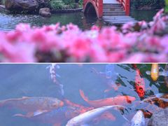 -广州花园酒店