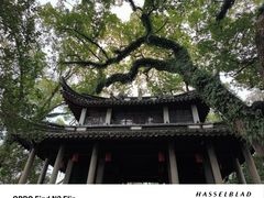 -蒋氏故居