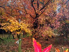 -国家植物园南园