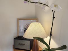 -本無咖啡·BeanWood Coffee