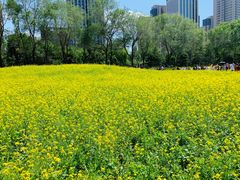 -长白岛森林公园