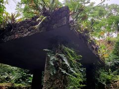 -深圳仙湖植物园