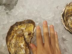 -普朗姆生蚝吧(原建国路店)