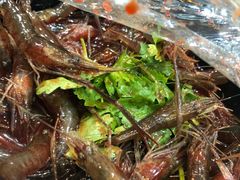 -小老板海鲜酒家(董家渡店)