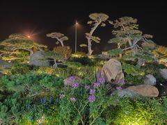 -罗红摄影艺术馆