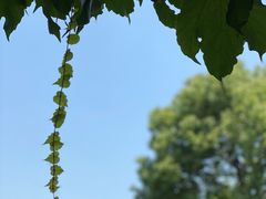 -东山风景区(洞庭东山)