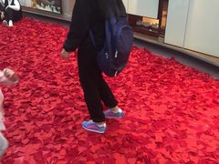 -银座mall(东直门店)