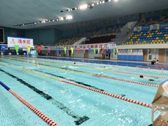 -重庆市奥林匹克体育中心-游泳跳水馆