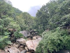 -沂蒙山旅游区龟蒙景区
