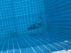 泳池-阳光游泳培训基地(天通苑店)