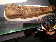 -浙江西湖美术馆