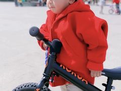 -稚马儿童平衡车自行车俱乐部