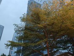 -广州绿地中央广场