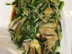 -鸽王世家(东华东路店)