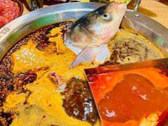 -铭记蛙小仙·活蛙畅享(CBD万达广场店)