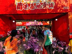 -文华公园(禅城区)