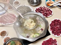 -原野牛肉岛