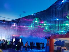 -海合安青岛极地海洋公园