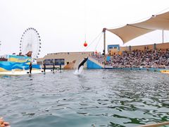 -秦皇岛乐岛海洋王国