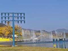 -千年银杏谷文化旅游区