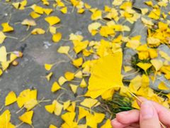 -成都川菜博物馆