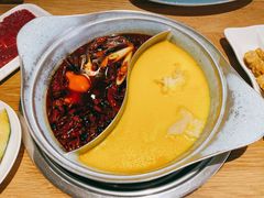 -青瓷火锅料理(西单大悦城店)