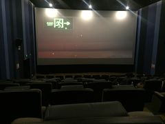 -汉阳天河电影城(王家湾店)