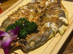 -清真·双公羊·馕坑烤全羊(奥体店)