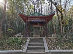 -青龙山国家森林公园