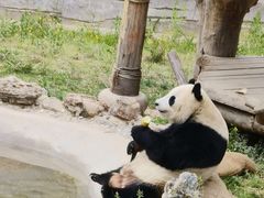 -石家庄市动物园