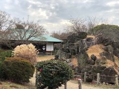 -名古屋城